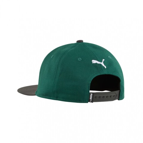 GORRA PUMA ESS N1 LOGO FLAT BRIM Green