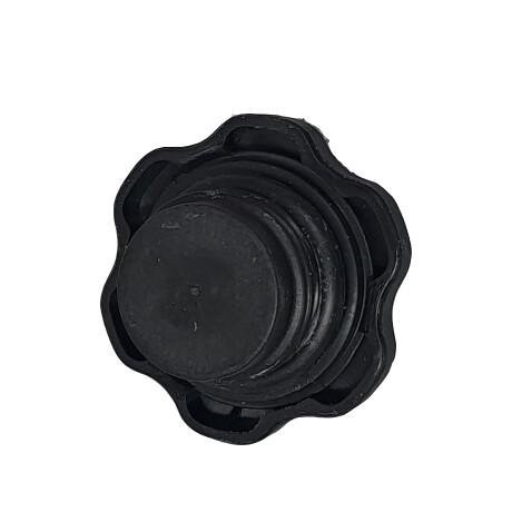 TAPON ACEITE FORD RANGER-ESCORT-KA-MONDEO-FOCUS - TAPON ACEITE FORD RANGER-ESCORT-KA-MONDEO-FOCUS -