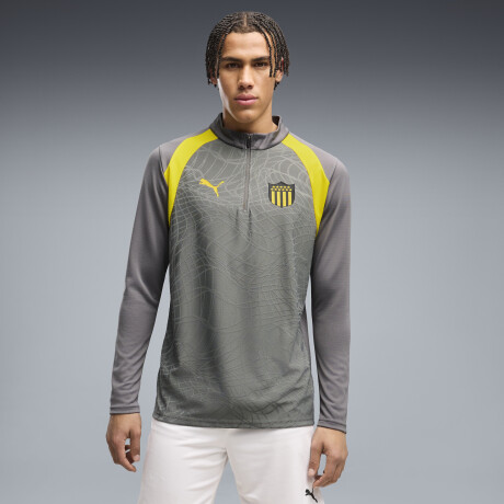 CAP Train 1/4 Zip Top 78652305 Gris