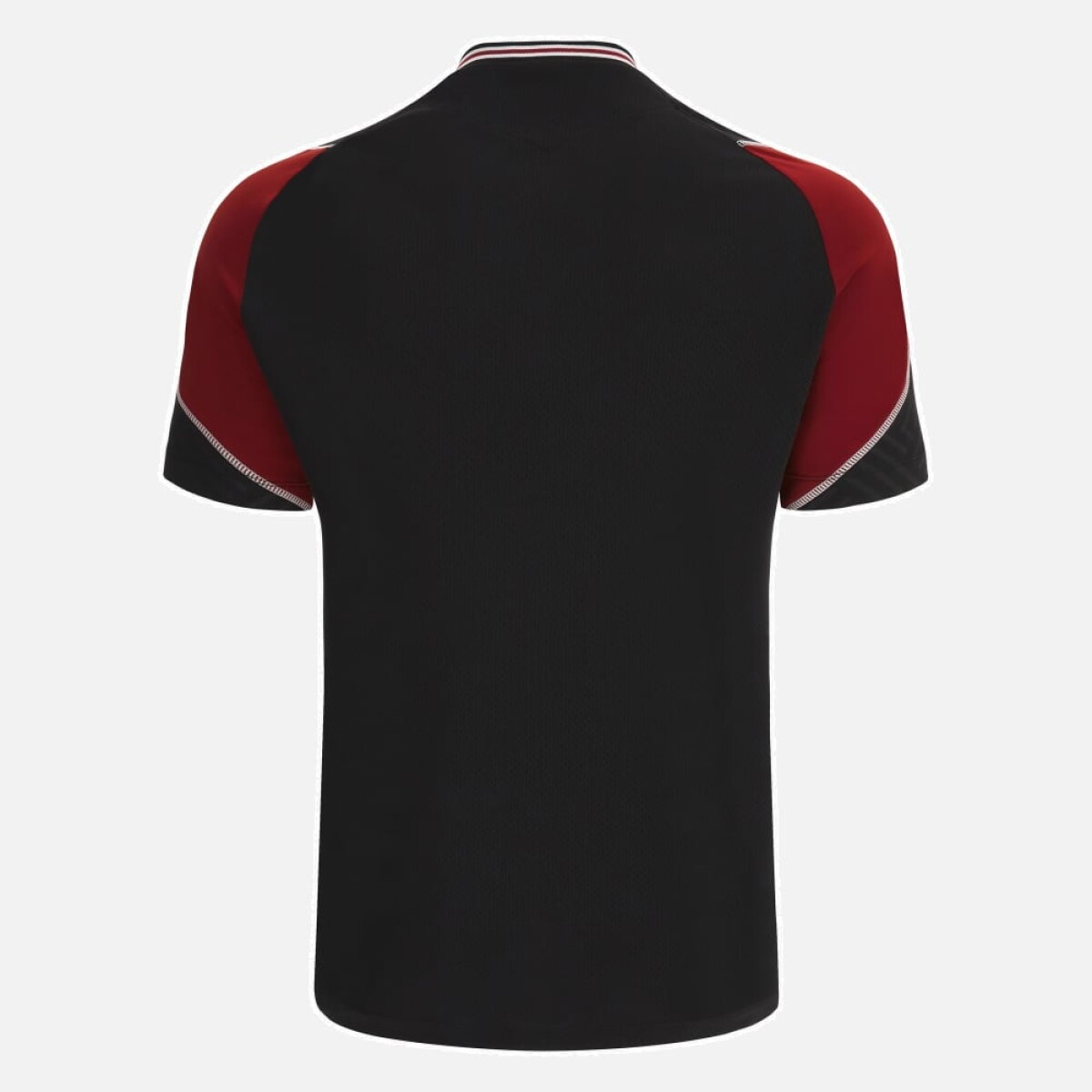 REMERA DE ENTRENAMIENTO WALES DE RUGBY WORLD CUP REMERA DE ENTRENAMIENTO WALES DE RUGBY WORLD CUP