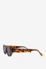 Guyam Cheetah Tortoise Crudo