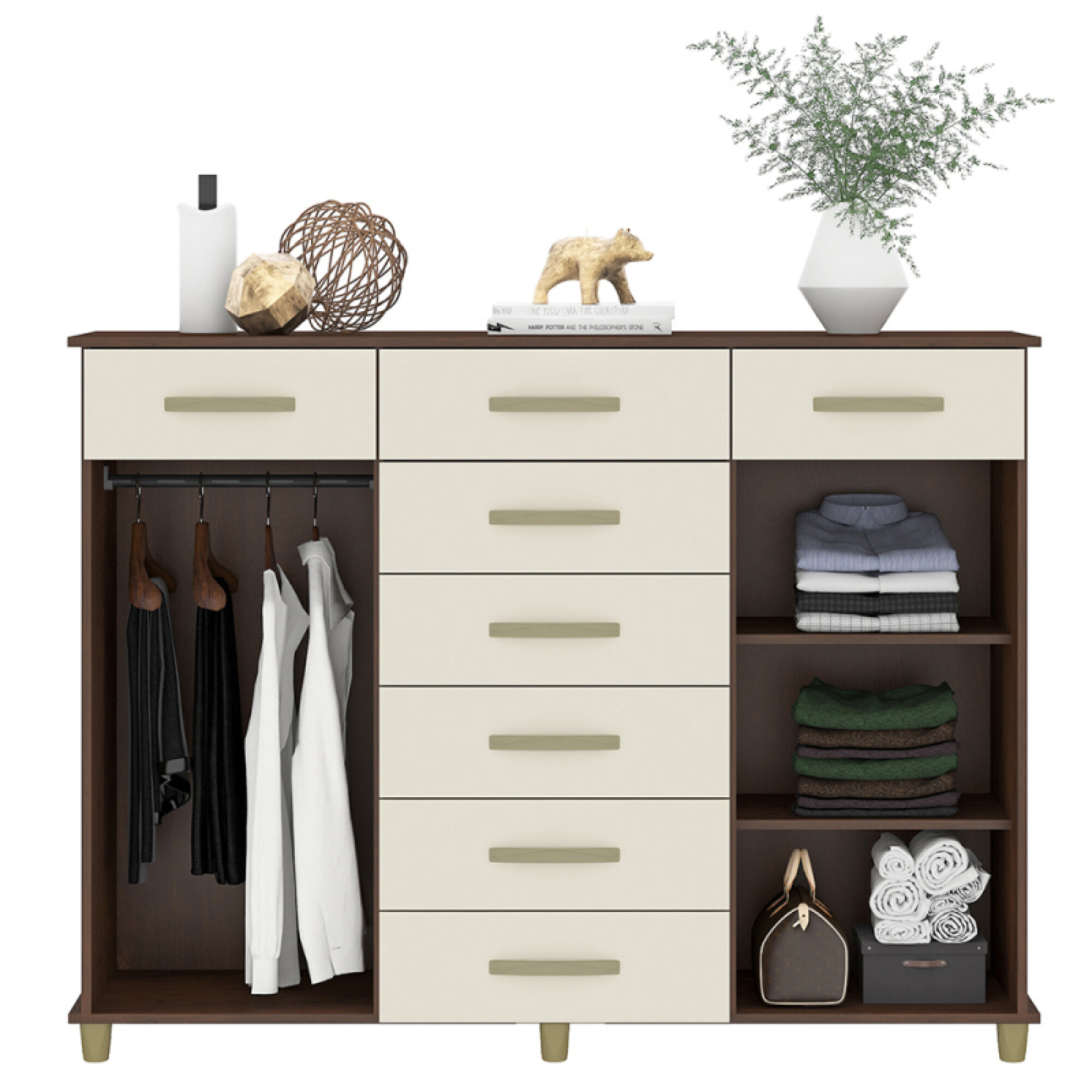 Comoda Cajonera de cajones puertas perchero y estantes