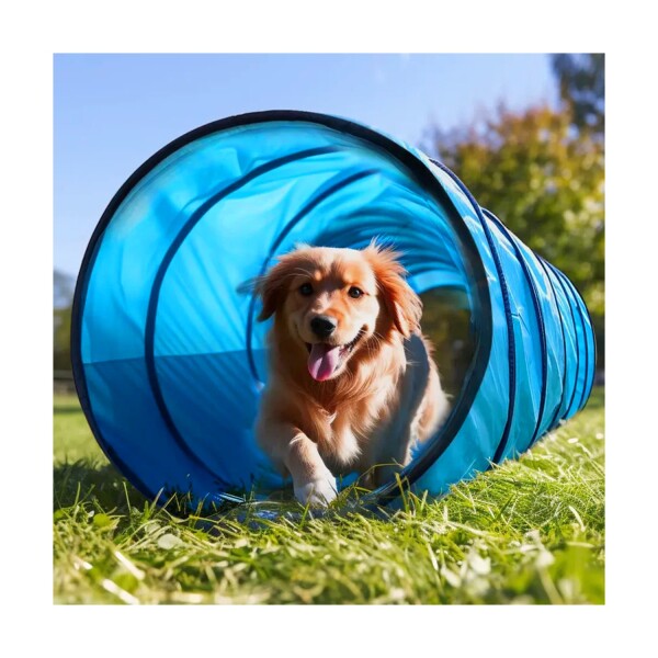 Tunel Gigante Perro Gato Mascota Redondo Tubo Interactivo Variante Color Celeste