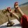 Rosette Sandal Rojo