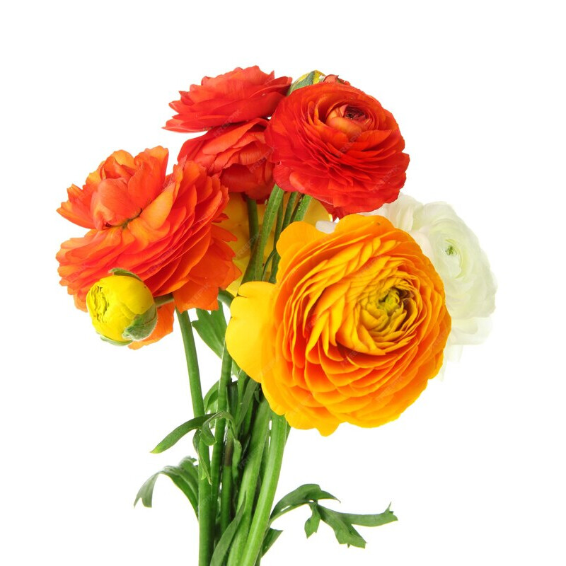 Ramo de Flores de Ranúnculo Artificial Naranja