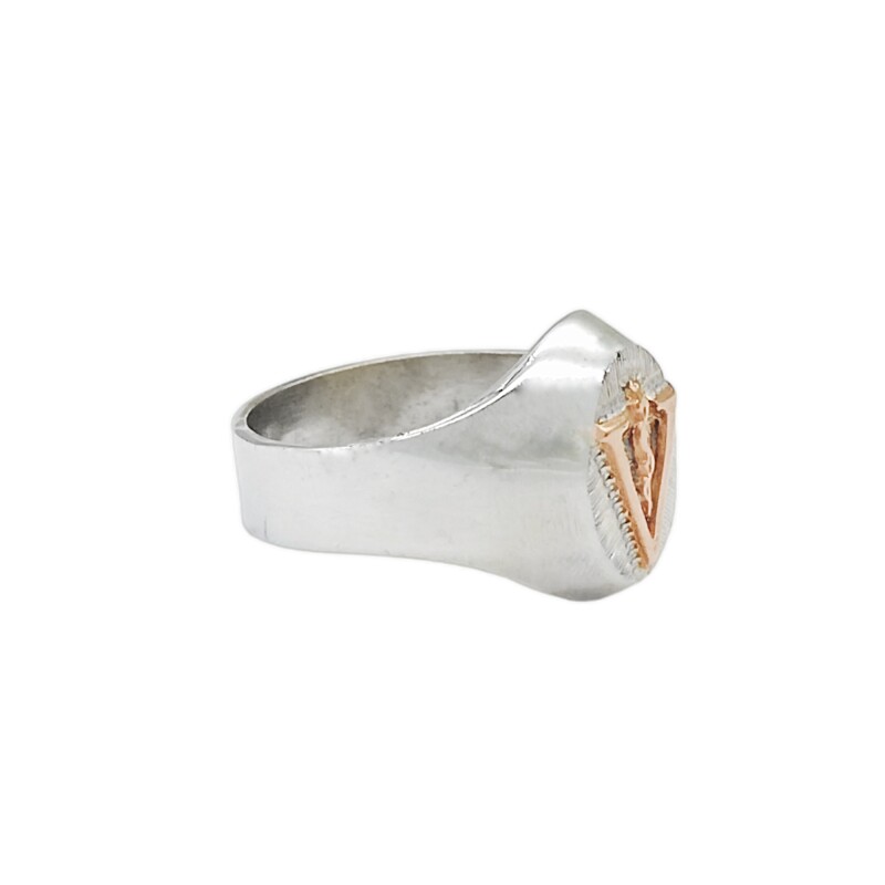 Anillo Profesión Veterinario -Plata y Oro-Sin Piedra-AP5016 sinpiedra