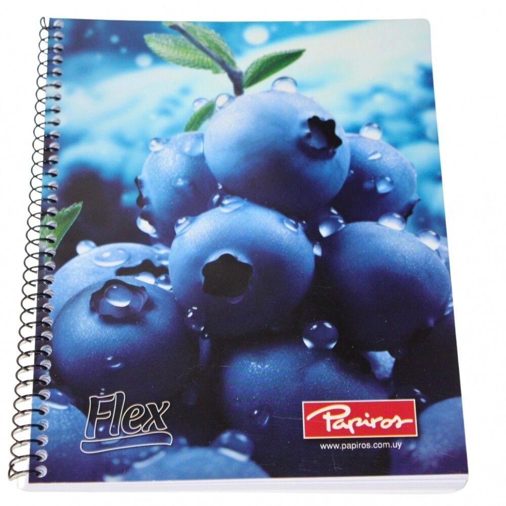 CUADERNO PAPIROS CON ESPIRAL DE 96 HOJAS TAPA ARANDANOS