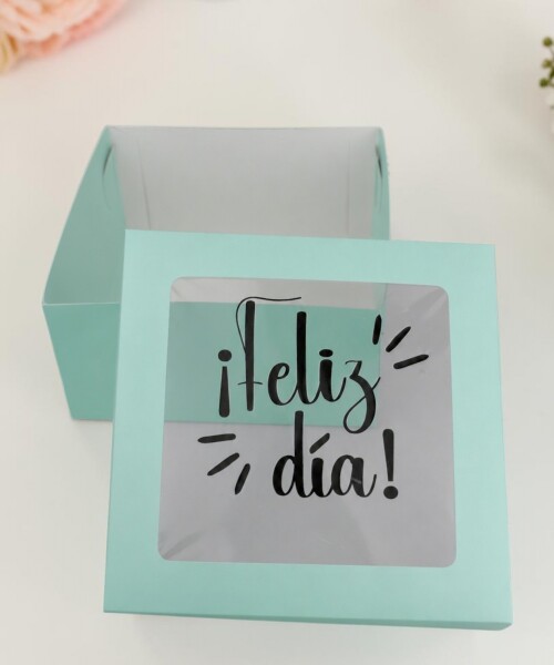 Caja flexi 20x20x9,5. c/visor impreso VERDE AGUA - LISO