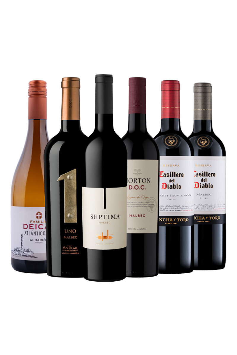 Pack Bacán Selección Bacanazo Fin de Año x6 vinos clasicos 