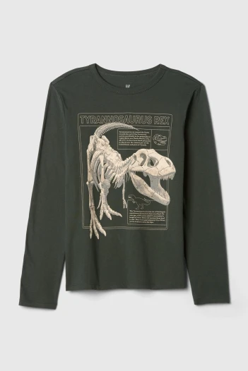 Remera Gràfico Manga Larga Niño Dinosaur