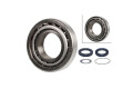 Rueda Trasera Kit Mazda Bt50 06-11 Rueda Trasera Kit Mazda Bt50 06-11