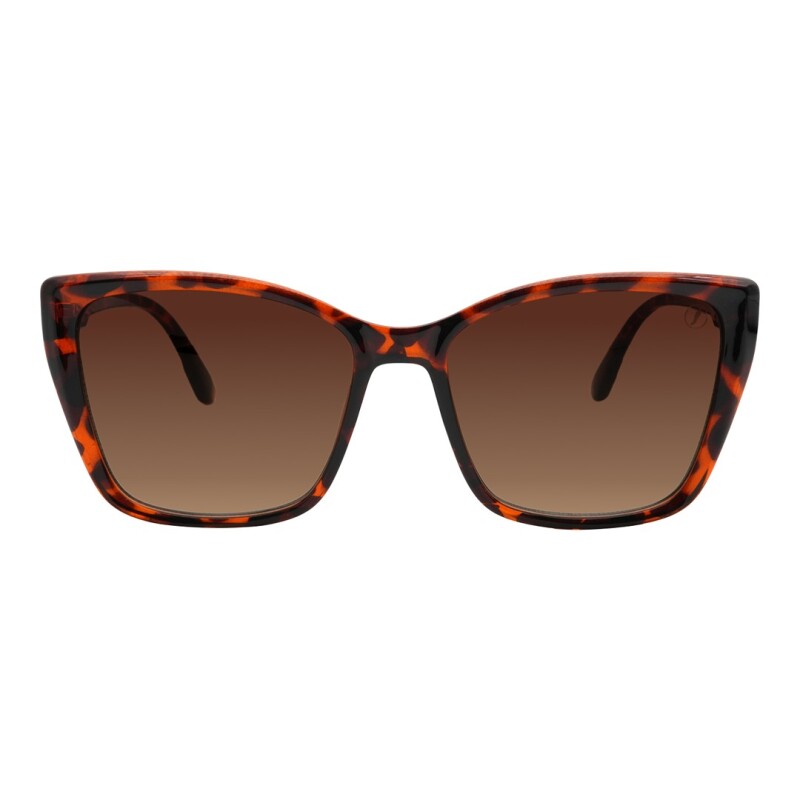 Lentes de Sol Chilli Beans Nicosia Animal Print