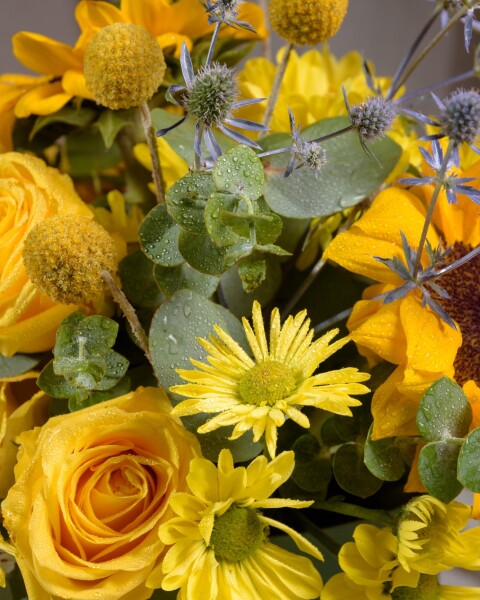 Box Grande + Mini Cake - AMARILLA Box Grande + Mini Cake - AMARILLA