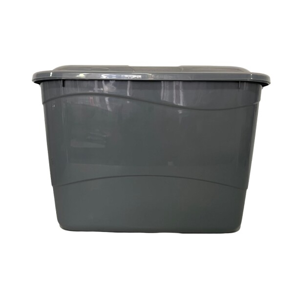 Caja Organizadora rectangular grande de plástico con trabas - RAINHA Caja Organizadora rectangular grande de plástico con trabas - RAINHA