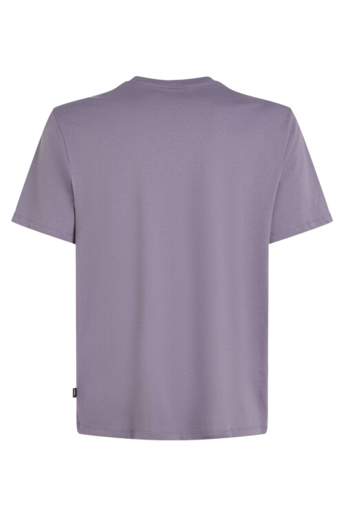 Remera O'Neill Gradient Storm Remera O'Neill Gradient Storm