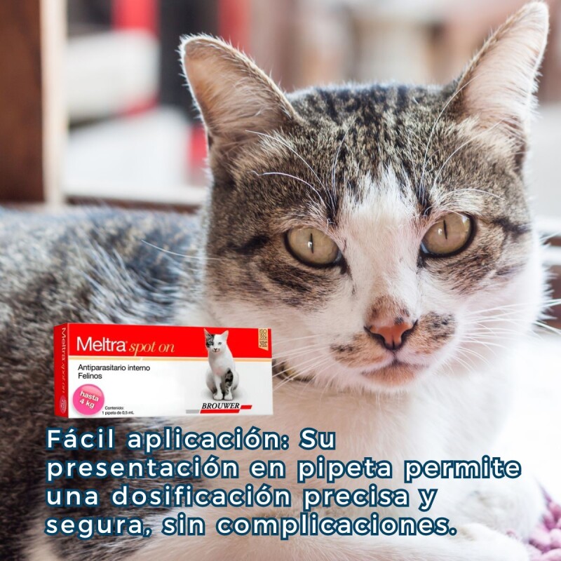MELTRA SOPOT ON ANTIPARASITARIO INTERNO EN FORMA DE PIPETA PARA GATOS HASTA 4 KG MELTRA SOPOT ON ANTIPARASITARIO INTERNO EN FORMA DE PIPETA PARA GATOS HASTA 4 KG