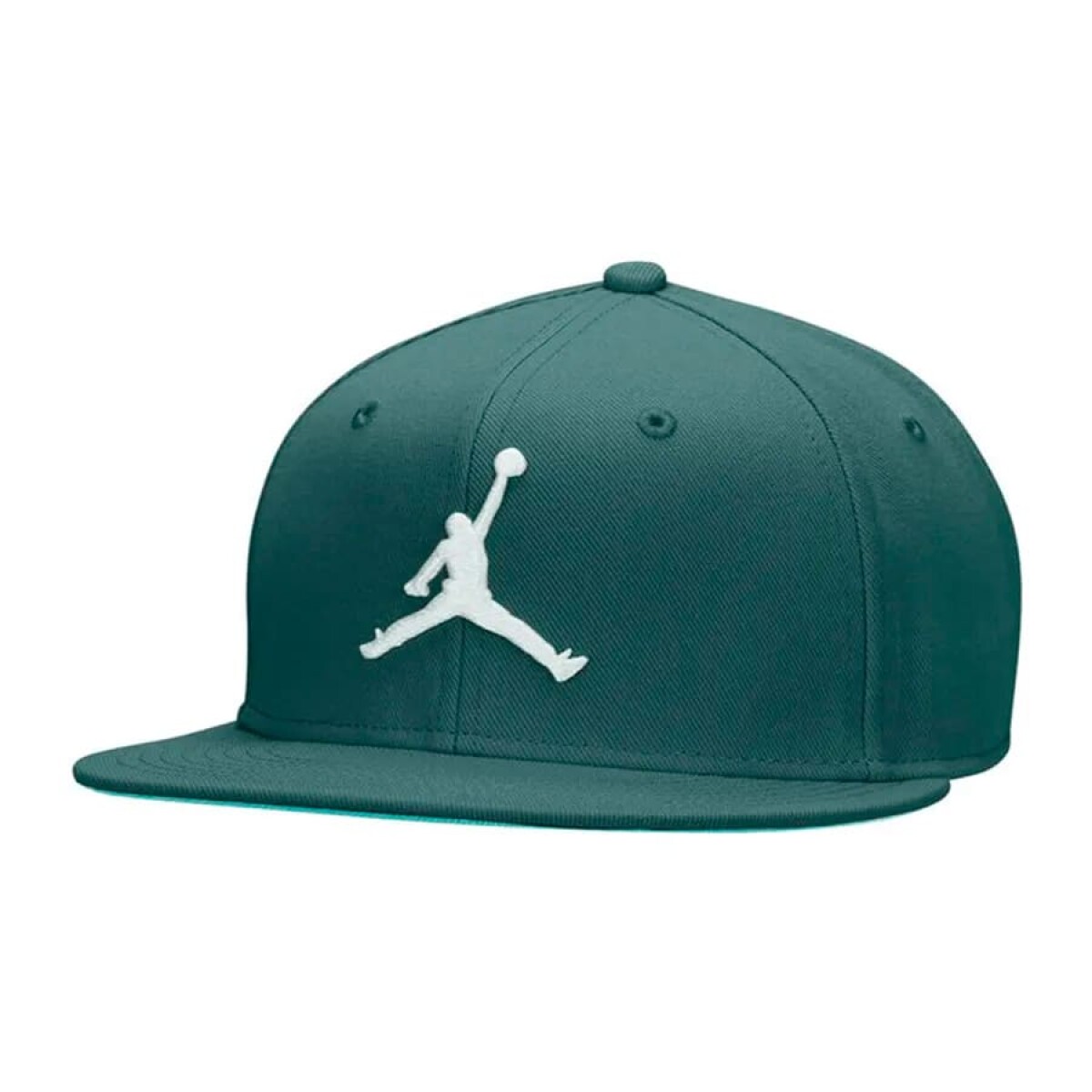 Gorro Nike Jordan Pro de Hombre - FV5296-366 - Verde 