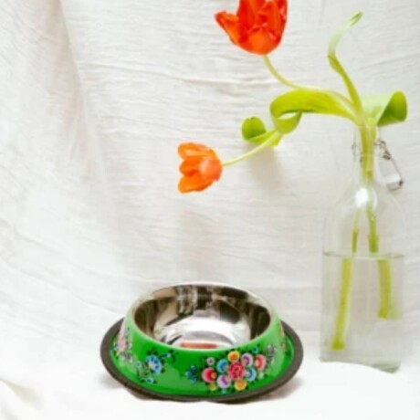 PLATO PARA PERRO FRIDA Verde