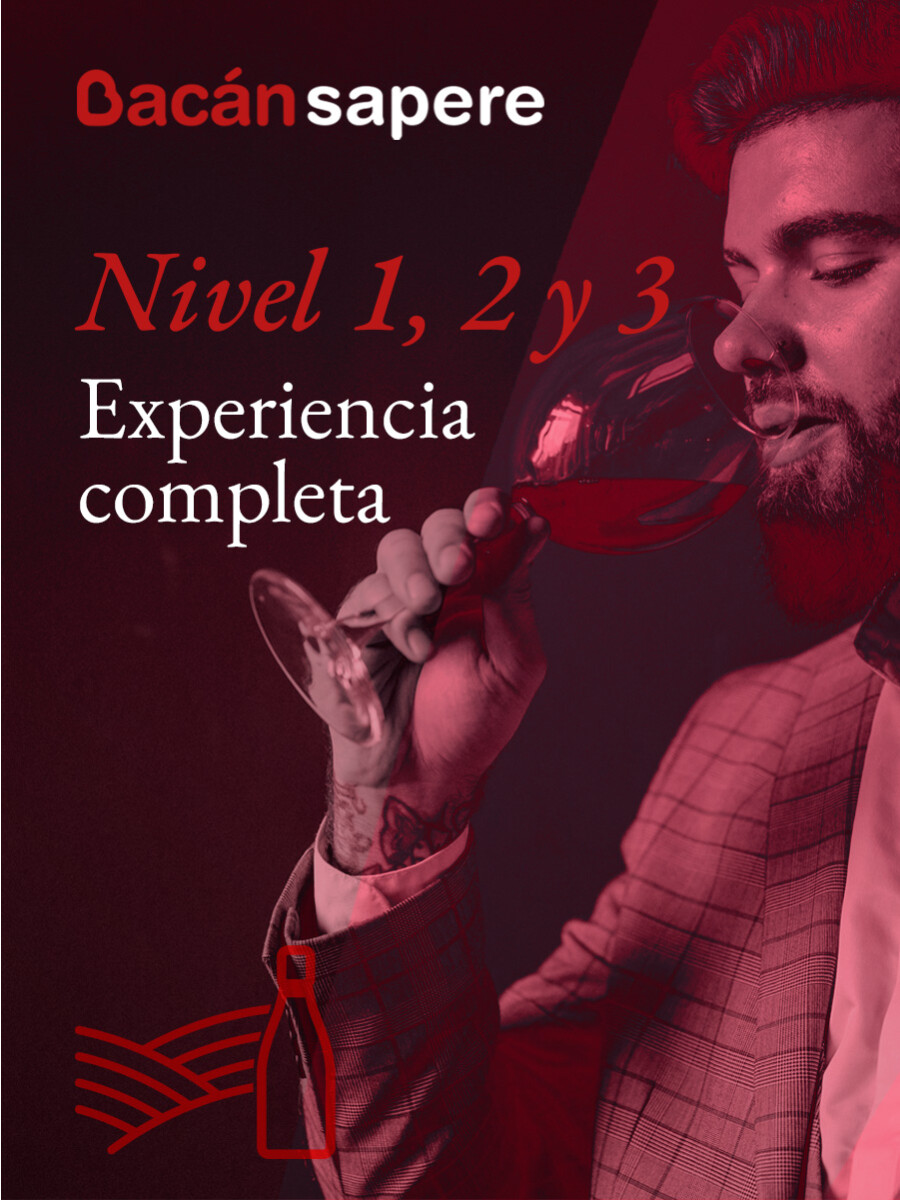 Experiencia Completa Bacán Sapere – Niveles 1, 2 y 3 Experiencia Completa Bacán Sapere – Niveles 1, 2 y 3