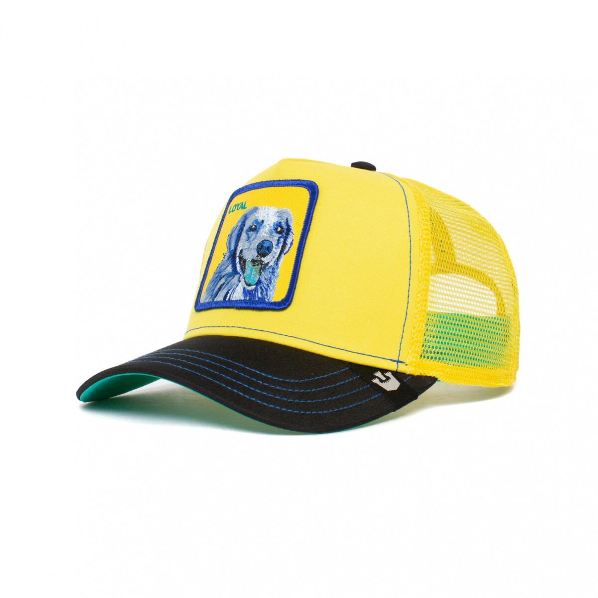 GORRO GOORIN BROS DOGGY TRIP - Yellow 