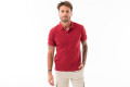 REMERA PIQUE CUELLO POLO 1801 Bordo/brick
