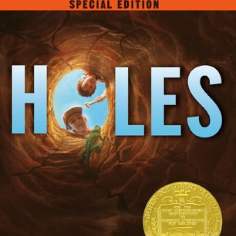 HOLES HOLES
