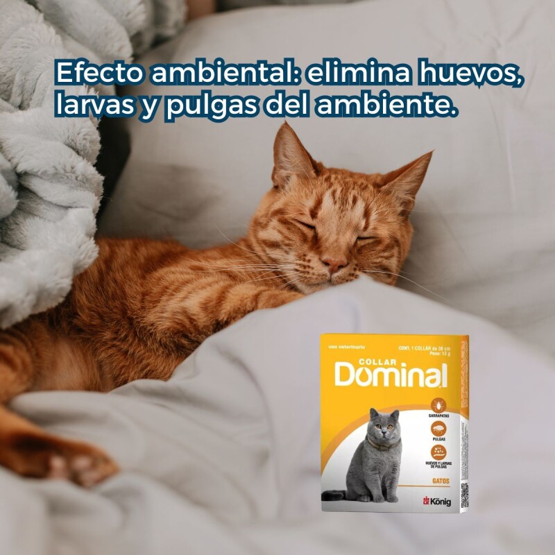 DOMINAL COLLAR ANTIPULGAS Y GARRAPATAS PARA GATOS DOMINAL COLLAR ANTIPULGAS Y GARRAPATAS PARA GATOS