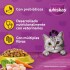 WHISKAS GATOS ADULTOS POLLO 10 KG