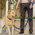 Correa Collar Reforzado Perros Semi Ahorque Cuerda Trenzada Variante Color Negro y Azul