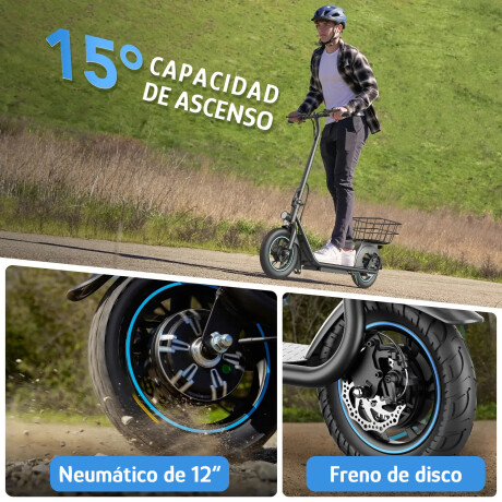Scooter Electrico P/Adulto GYROOR X2 118kg 30km/h Cesta Pleg Negro