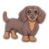 Dachshund Puppy Multicolor