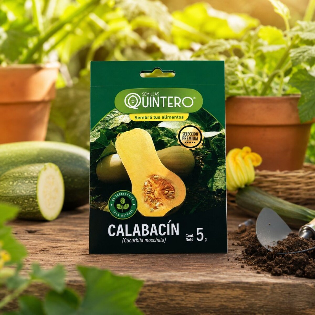 SEMILLAS DE CALABACIN BUTTERNUT 5G 
