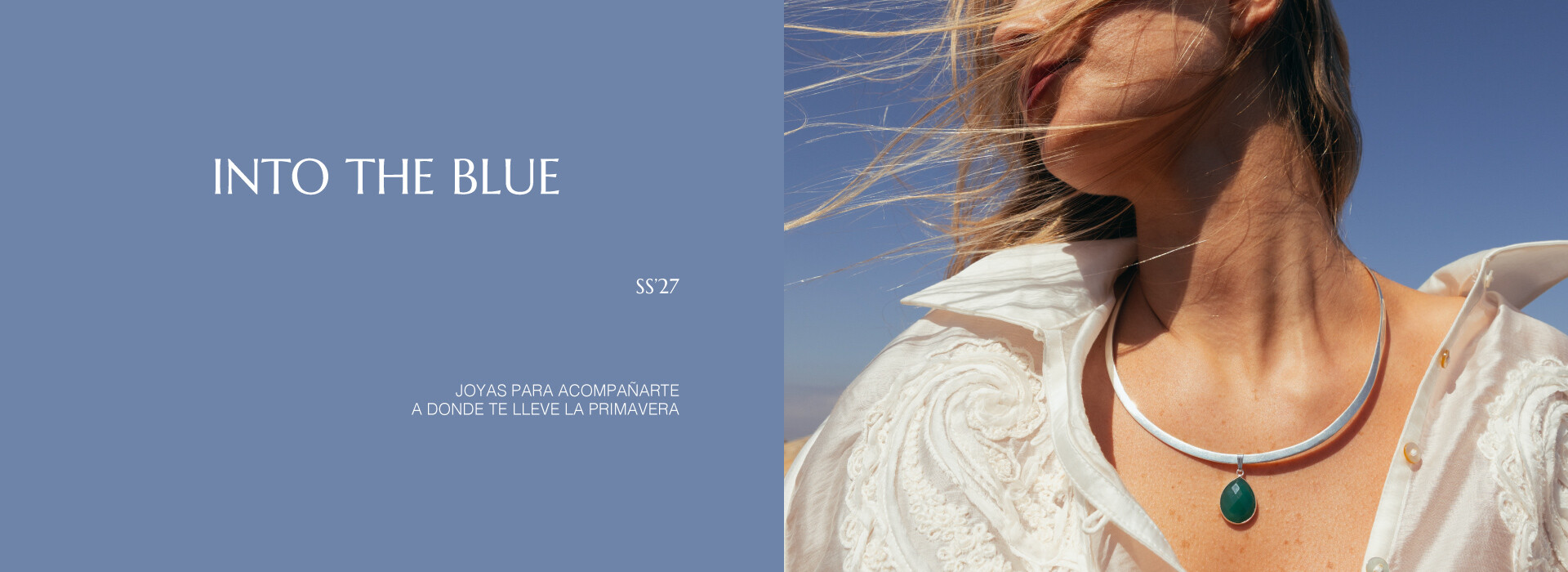 into the blue banner 1