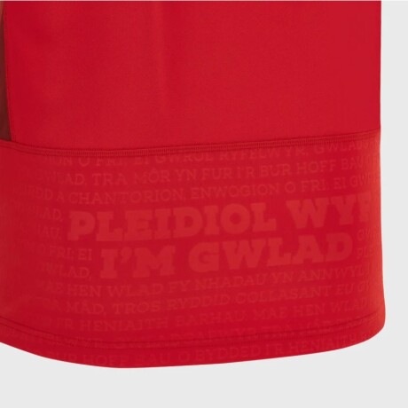 CAMISETA OFICIAL WALES RUGBY CAMISETA OFICIAL WALES RUGBY