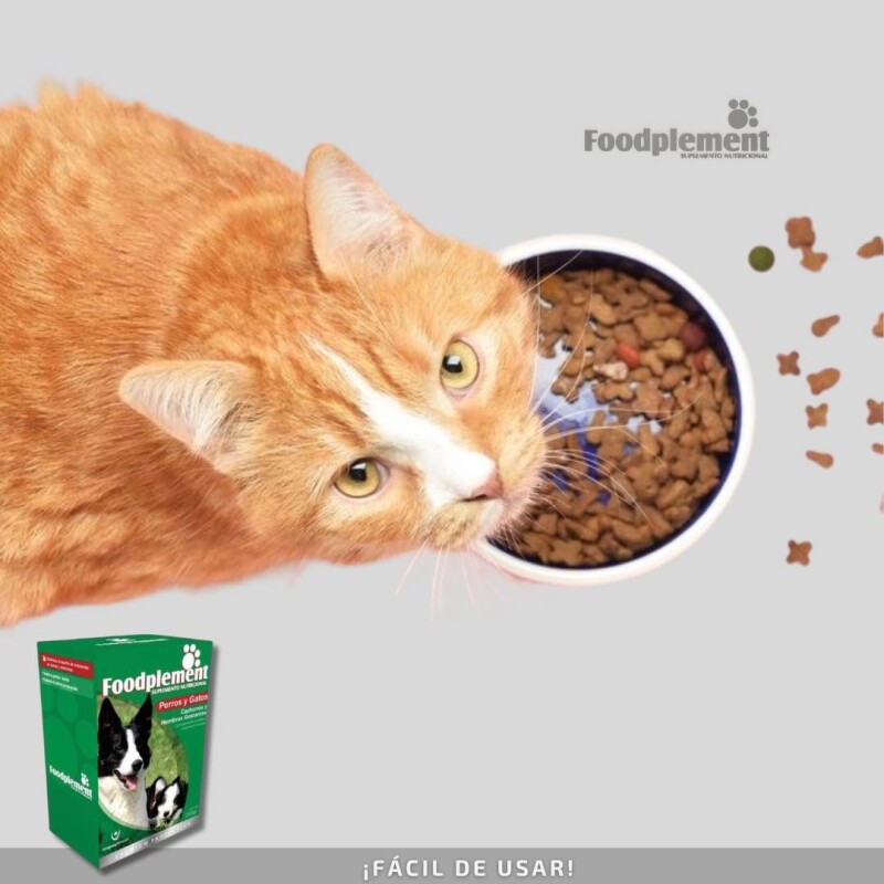 SUPLEMENTO NUTRICIONAL FOODPLEMENT CACHORROS Y HEMBRAS GESTANTES CAJA DE 250 GMS SUPLEMENTO NUTRICIONAL FOODPLEMENT CACHORROS Y HEMBRAS GESTANTES CAJA DE 250 GMS