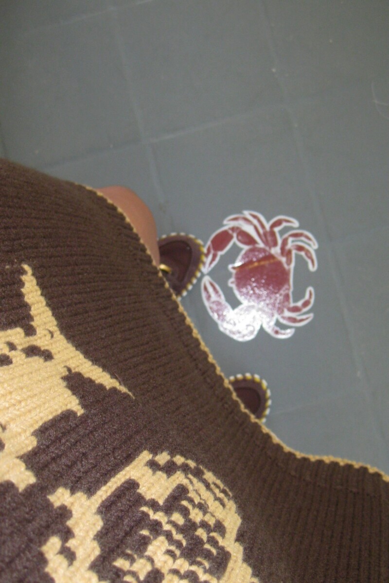 Buzo Sacramento MARRON