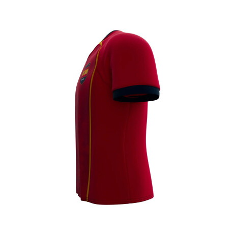 Camiseta España Niños RD2