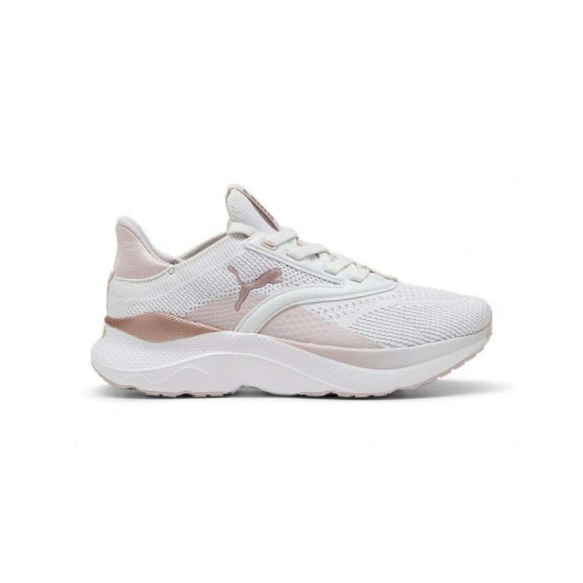 CHAMPION 36-41 - BNCO/ROSA 