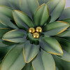 SET FLOR METAL VERDE 3PZAS Unica
