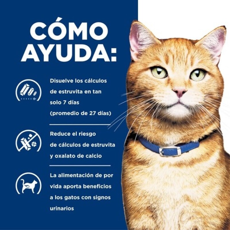LATA HILL´S C/D GATOS CUIDADO URINARIO 156 GRS LATA HILL´S C/D GATOS CUIDADO URINARIO 156 GRS