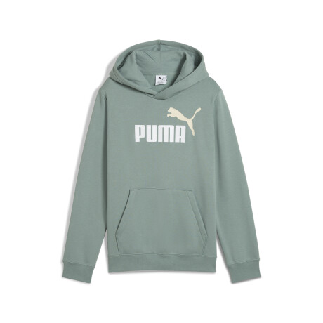 ESS 2 COLOR Nş1 logo Hoodie FL B 68582230 Verde