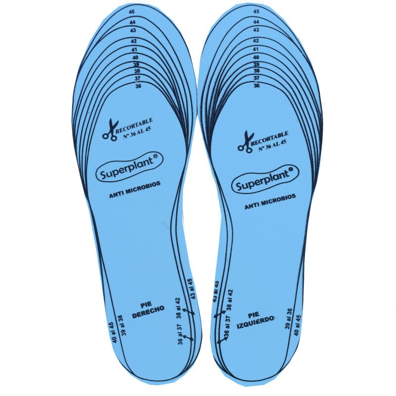 Limpiador Wassington Plantilla Anti Bacteriana Celeste