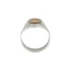 Anillo Profesión Medicina-Plata y Oro-Sin Piedra-AP5007 Sinpiedra
