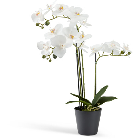 Planta Artificial Matinus A62Cm Flores