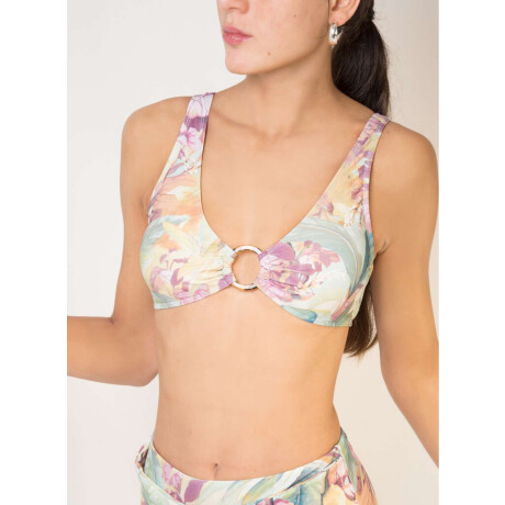 Top aspen Dream jungle
