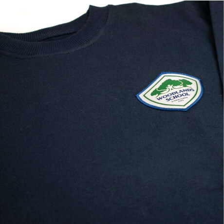 Buzo deportivo liceo Woodlands School