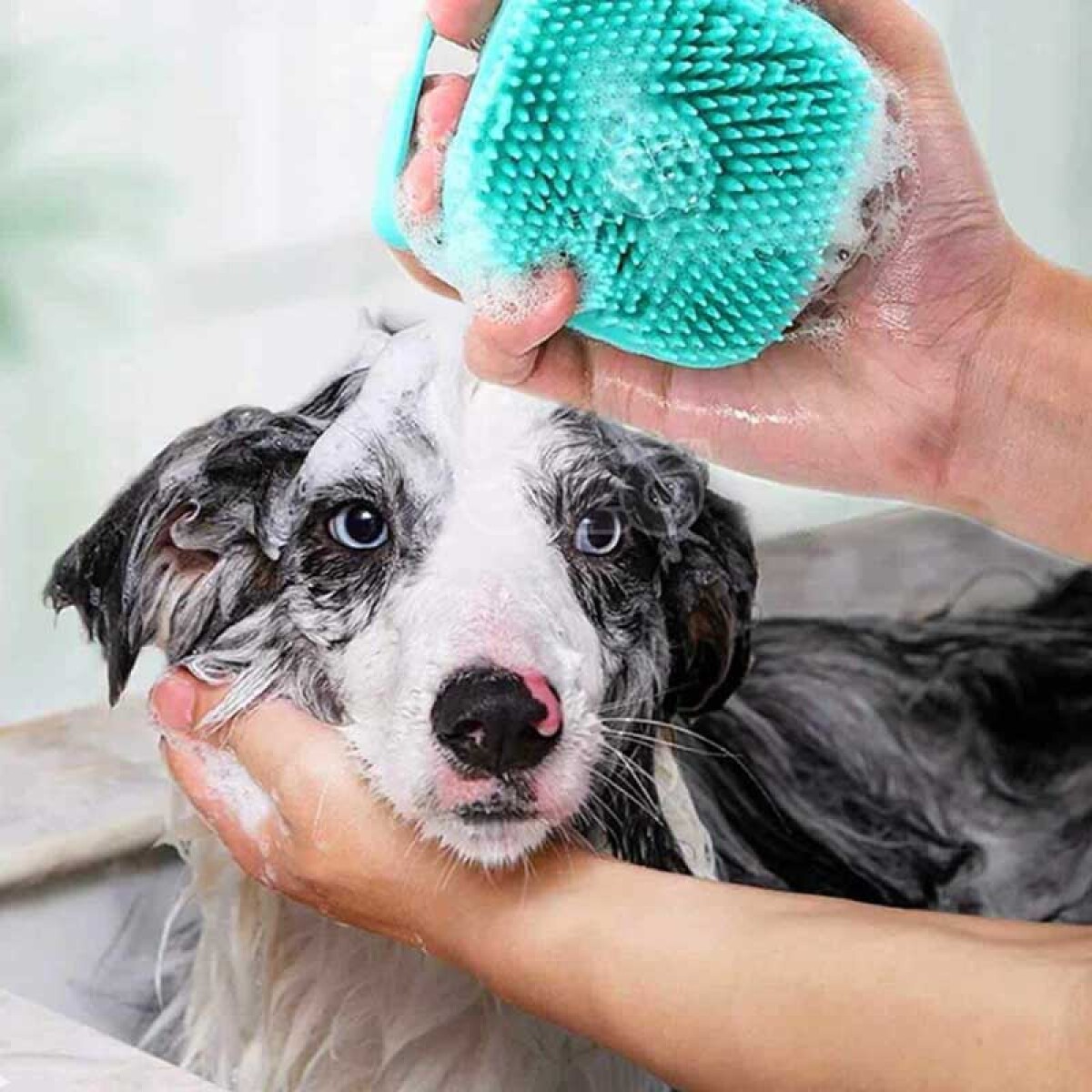 Cepillo Dispensador De Shampoo Para Mascotas 