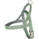 PERRO ARNES NOORS ELLY VERDE CLARO S 38CM 43-55CM 20MM PERRO ARNES NOORS ELLY VERDE CLARO S 38CM 43-55CM 20MM