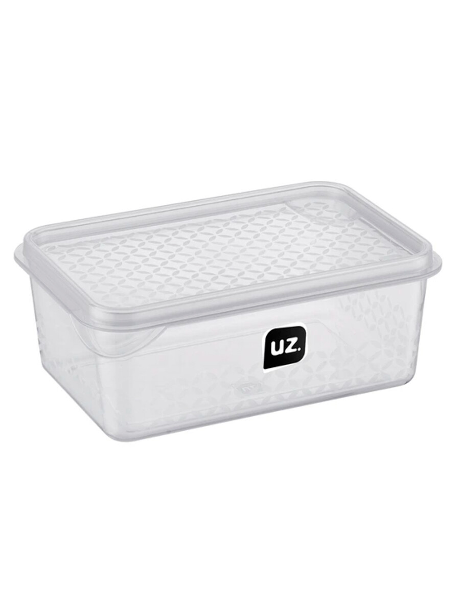 RECIPIENTE TRANSPARENTE 500ML - TRANSPARENTE 