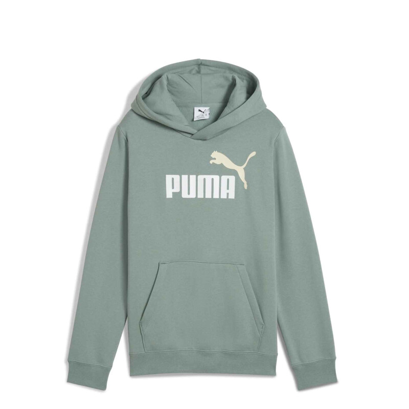 Buzos Puma Logo Hoodie Masculino Verde